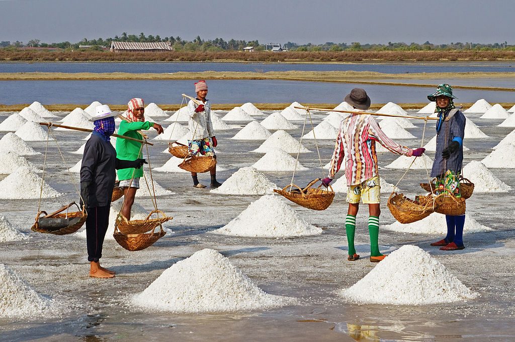 Salt water Farmers